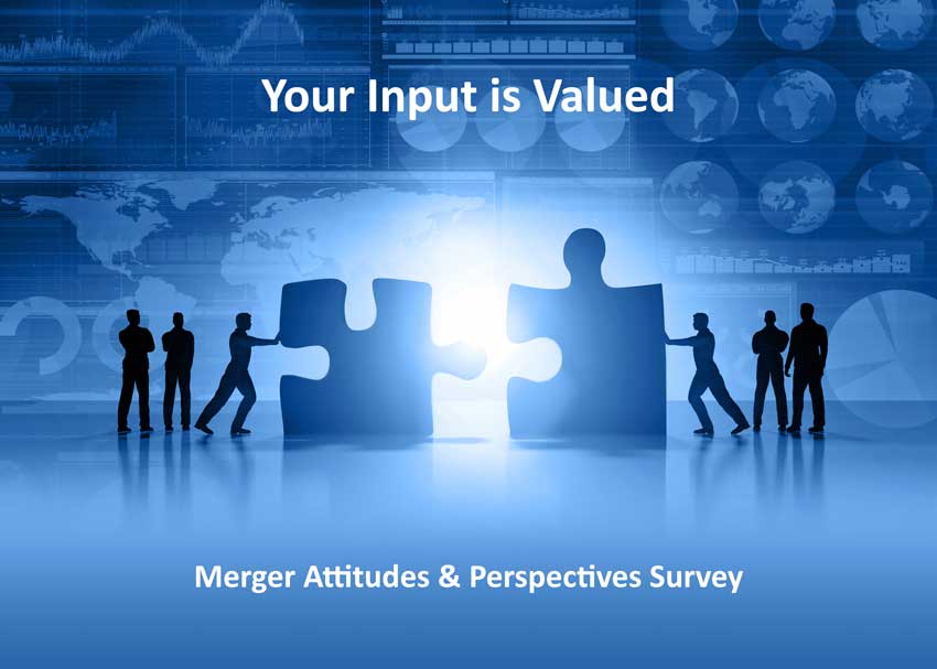 Merger Perspectives Survey